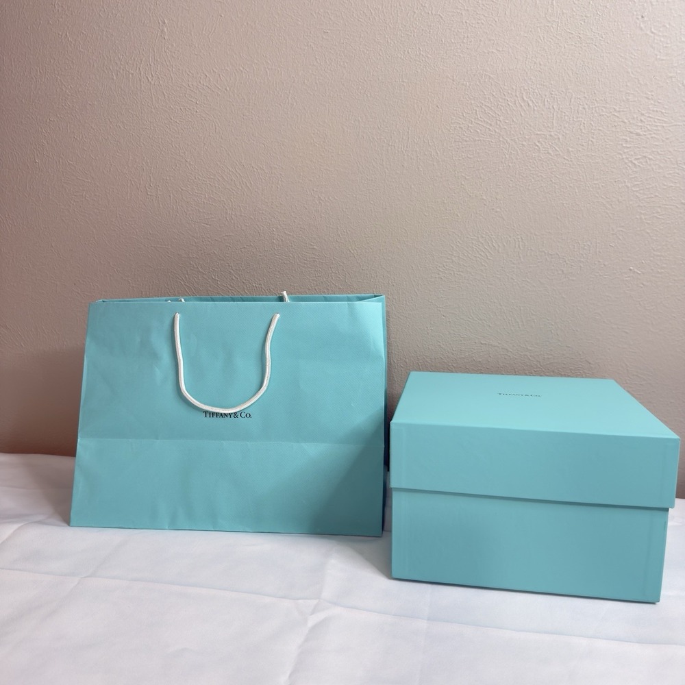 Tiffany Co Large Square Gift Box 10x10x6.5" Shopping Bag Storage Robin Egg Blue‎